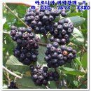 즐겨먹기 이미지