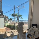 루느와르 이미지