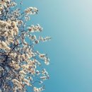 고운이치과 이미지