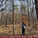 성남누비길 4구간 등산코스(동천역-대지산-불곡산-형제봉-태재고개) 20210124 이미지