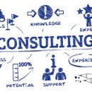 PTC태권도 이미지