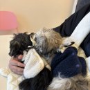 유폴 애견셀프목욕, 애견미용, 애견용품 직영점 | 오산/동탄 애견카페 너를위한카페