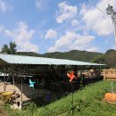 성주목장 이미지