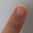 황철수피자 안성점 | ②④_①