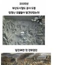 부산 지하철 공사때 발견된 임진왜란 당시의 유골들 이미지