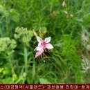 청계산 등산코스(대공원역(서울랜드)-과천매봉 전망대-청계사) 20220814 이미지