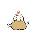 홈체형관리