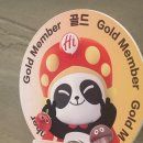 푸시 서초점 | [강남/서초 맛집] 하이디라오 서초점 골드 VIP가 전하는 리얼 후기 & 꿀팁 방출! 🍲