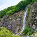 양백목장 이미지