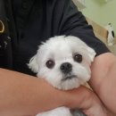 개도만족 이미지