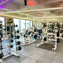 원 피티 이미지