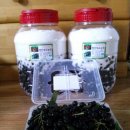 명전계곡 이미지