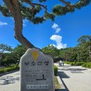나루터로 15 (2) | 부여 부소산성 산책코스 낙화암 뷰 보고, 고란사 약수 마시고, 배 타고 돌아온 여름 여행 후기