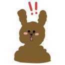 우리펫동물병원 이미지
