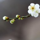 자연환경클린 이미지