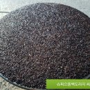 으뜸2농장 Daum카페