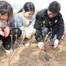 달서지역아동센터 이미지