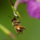 서당골농장 이미지