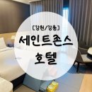 봉화재 반려견놀이터화장실 | 세인트존스호텔 펫캉스 강릉강문해변 반려견놀이터 내돈내산 (반려견놀이터 가는법)