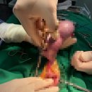 24시 청주이음동물의료센터 이미지