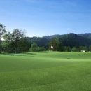 진짜스크린골프 이미지