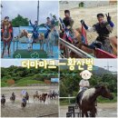 화랑유치원 | 아이까지 ~심장 쫄깃해지는 제주도 액티비티! 황산벌 마상공연 솔직 후기 -승마체험 /관람&amp;할인꿀팁