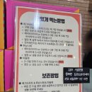 도리스 | 속초 중앙시장 먹거리 '도리스파티세리' 에그타르트 포장 후기