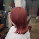 스타일 제이(style j) 헤어 이미지