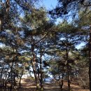 관란정觀瀾亭 | 생육신 관란 원호의 유허지와 관란정