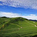 고산민박 이미지