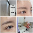 [경기:안양] 안양속눈썹펌 전문점 &#39;트렌디브로우&#39; 솔직후기 l 반려동물동반 l 주차가능 l 안양 반영구...