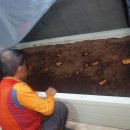 여우골농장 이미지