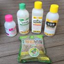 정원과조경