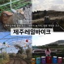[제주도여행 필수 코스 / 제주시 놀거리] ‘레일바이크’ 후기: 힐링 제대로 즐기고 왔어요