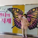 기획공연 그림자극으로 만나는 비발디의 사계 | 비발디의 사계 그림자극 [부산문화회관]
