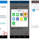 팜스웰