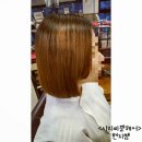 씨엘헤어(CLHAIR) 네이버블로그