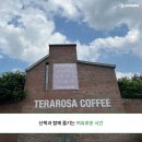 테라디앤씨 네이버블로그