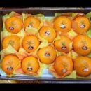 햇빛농장2 이미지