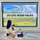 나만의풍경 캠핑&펜션 | 독채 숙소 | 강원도 홍천 애견동반 독채 펜션 | 천연잔디 캠핑 바베큐 자쿠지 불멍 | 내돈내산 솔직후기