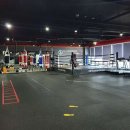 올라운더 복싱 이미지