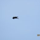 넥스트환경 이미지