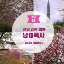 강진-14 | 강진 남미륵사 서부해당화 국내 4월 여행지 추천