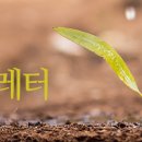 [KHIDI] 보건산업진흥원 의료기기산업 주간뉴스레터- 제254호 이미지