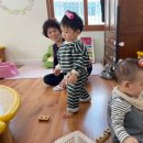 두 번째 벚꽃 이미지