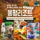 땡큐카 이미지