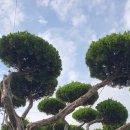 하의면 복지센터 이미지