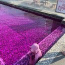 노천 | 양양 설해원 노천스파 솔직후기♨️ | 양양 아이랑 물놀이 | 양양 온천 수영장 &amp; 사우나