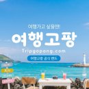 제주출발 대만 타이베이·지우펀 4일 추천여행상품｜101전망대 포함! 제주도민을 위한 특별한 대만여행 이미지
