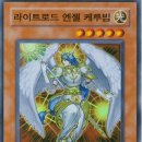 로드라이트 네이버블로그